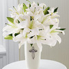 Fresh Flower Delivery Tampa FL - Flower Delivery in Tampa, FL