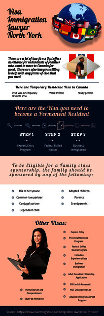 2020-01-31 Immagiration VISA