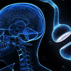 brain-power1 SDjP9PR - http://www.mytextgraphics