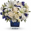 Get Well Flowers Marco Isla... - bellafloralsandmore