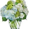 Flower Delivery in Florissa... - Stems Florist