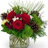 Get Flowers Delivered Flori... - Stems Florist