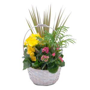 Mothers Day Flowers Alpharetta GA RogersFlorist