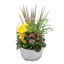 Mothers Day Flowers Alphare... - RogersFlorist