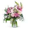 Same Day Flower Delivery Al... - RogersFlorist