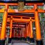 Torii JaponÃ©s - JapÃ³n