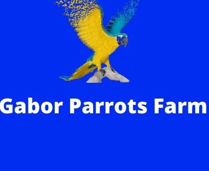 logo Gabor Parrots Farm
