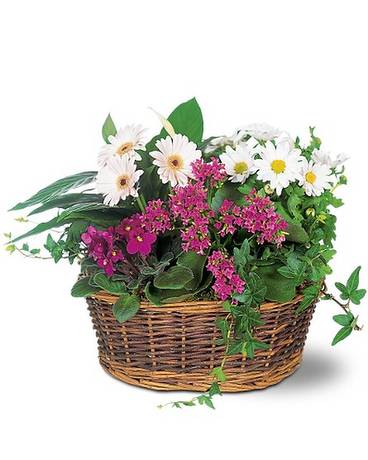Flower Delivery North Babylon NY Flower Delivery in North Babylon