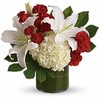 Same Day Flower Delivery No... - Flower Delivery in North Ba...