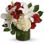 Same Day Flower Delivery No... - Flower Delivery in North Babylon