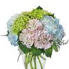 Birthday Flowers North Baby... - Flower Delivery in North Ba...