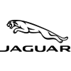 Jaguar near me - PHOTOS