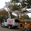 tree removal near me - Parker Tree Service