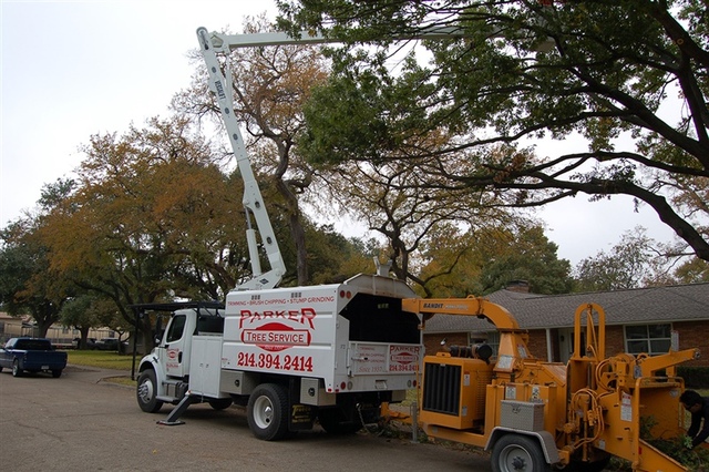 tree removal near me Parker Tree Service