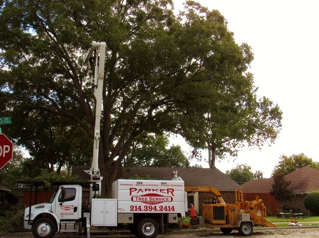 tree trimming near me Parker Tree Service