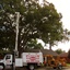 tree trimming near me - Parker Tree Service