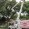 tree trimming service - Parker Tree Service