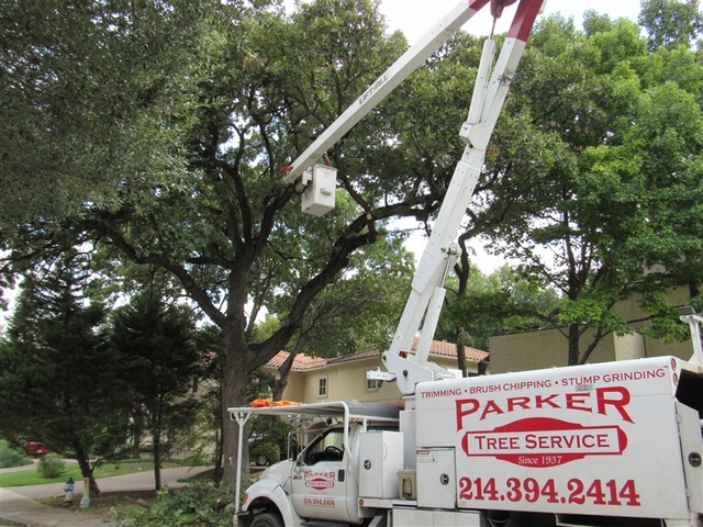 tree trimming service Parker Tree Service