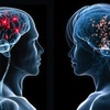 How Does Amazin Brain Supplement Boost Your Brain?