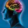 http-ketoplanusa-com-amazin... - What is Amazin Brain about?