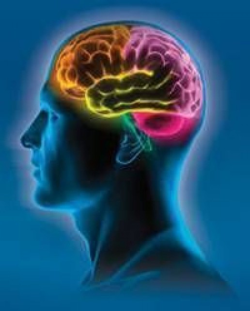 http-ketoplanusa-com-amazin-brain 1 What is Amazin Brain about?