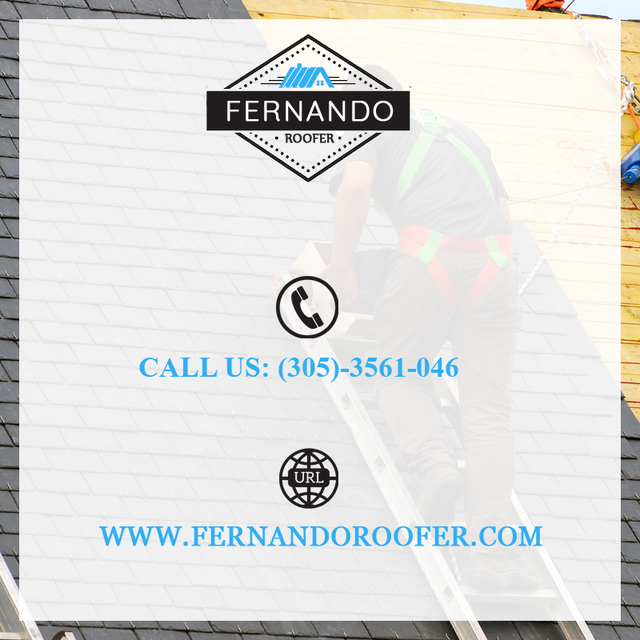 Roof Repair Miami | Call now:-(305) 356-1046  Roof Repair Miami | Call now:-(305) 356-1046