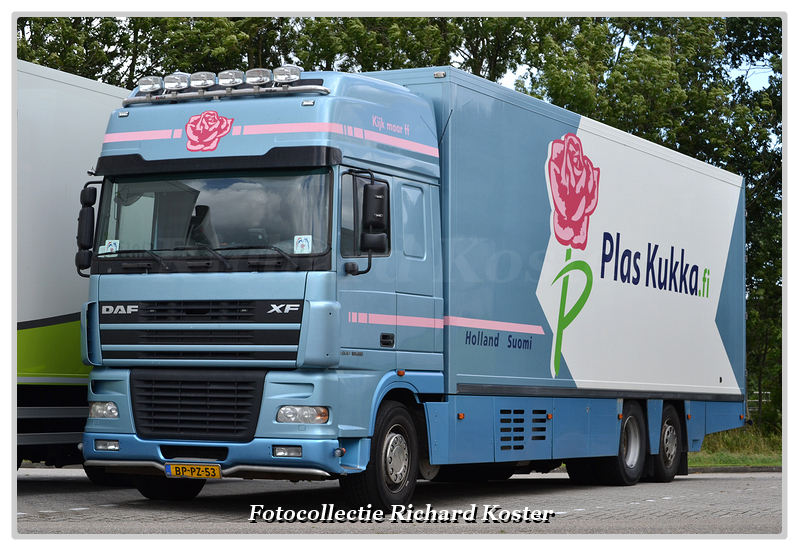 Plas Kukka BP-PZ-53-BorderMaker - Richard