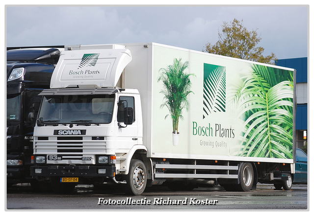 Bosch plants BD-SF-84-BorderMaker Richard