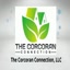 st cloud fl real estate - The Corcoran Connection, LLC