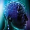 brain-function7 - Instant Boost Brain Order