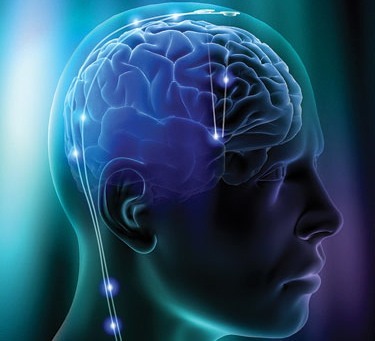 brain-function7 Instant Boost Brain Order