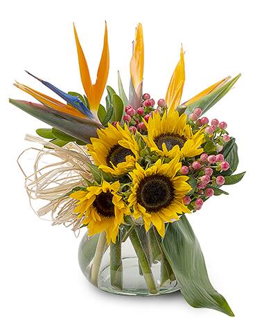 Get Well Flowers Solon OH Flower Delivery in Solon OH