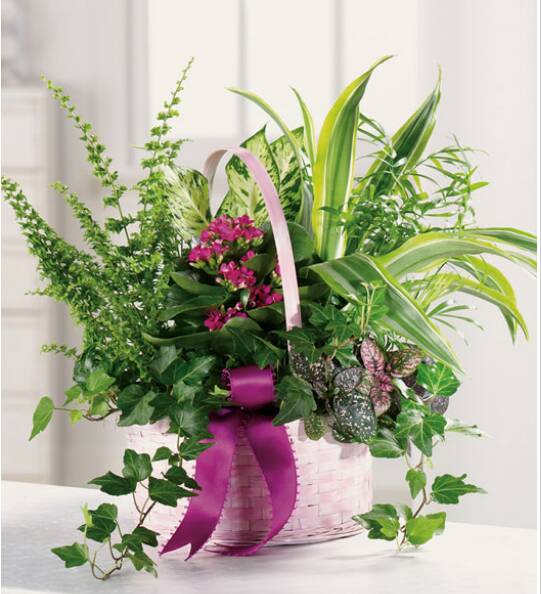 Flower Delivery Matthews NC Flower Delivery in Matthews NC