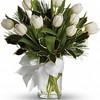 Funeral Flowers Chandler AZ - Flower Delivery in Chandler AZ