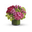 Next Day Delivery Flowers B... - Flower Delivery in Boynton Beach
