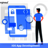 iOS App Development - Picture Box