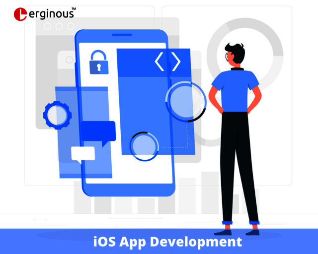 iOS App Development Picture Box