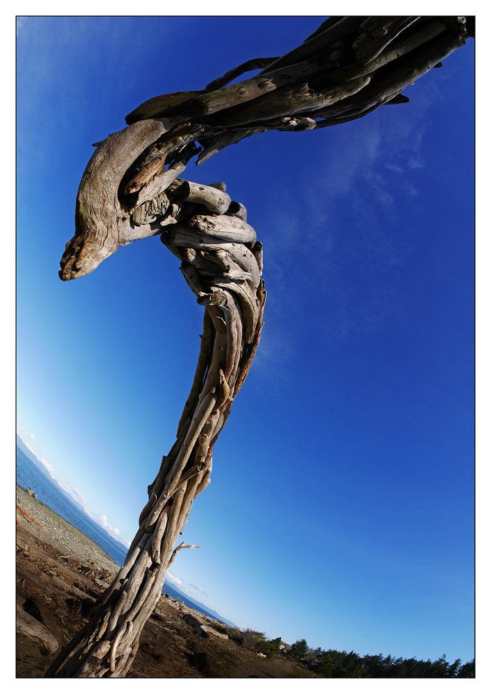 Kin Beach 2020 3 Comox Valley