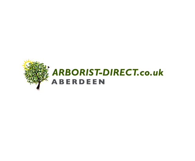 TYMcdfYy Arborist Direct Aberdeen