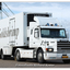 Goldshrimp BD-TX-95 (0)-Bor... - Richard