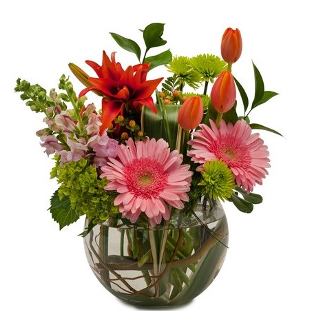 Florist in Norristown PA Flower Delivery in Norristown