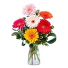 Flower Delivery in Norristo... - Flower Delivery in Norristown