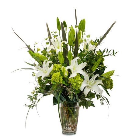 Get Well Flowers Norristown PA Flower Delivery in Norristown