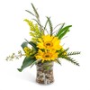 Order Flowers Norristown PA - Flower Delivery in Norristown