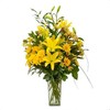 Thanksgiving Flowers Norris... - Flower Delivery in Norristown
