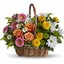 Flower Shop in Champaign IL - Flower Delivery in Champaign