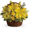 Get Well Flowers Champaign IL - Flower Delivery in Champaign