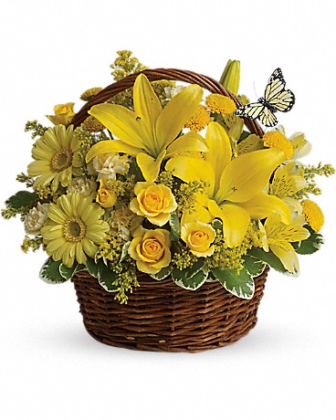 Get Well Flowers Champaign IL Flower Delivery in Champaign
