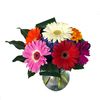 Florist in Spokane Valley WA - Flowers Delivery in Spokane...