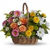 Thanksgiving Flowers Saint ... - Flowers Delivery in Saint P...